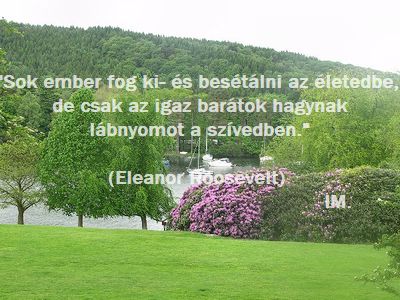 sok_ember_fog__ki__s_bes_t_lni_az__letedbe.jpg